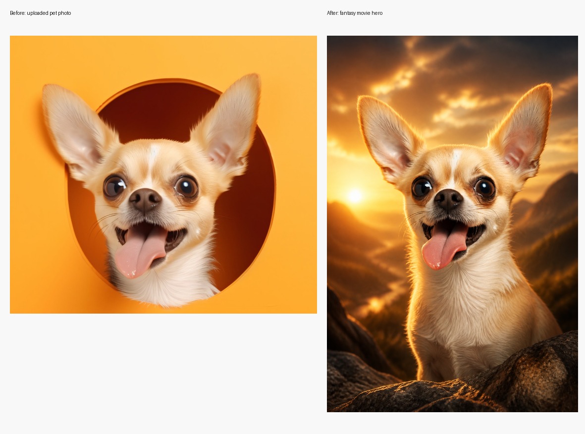 Pet photo before and after fantasy movie hero transformation example