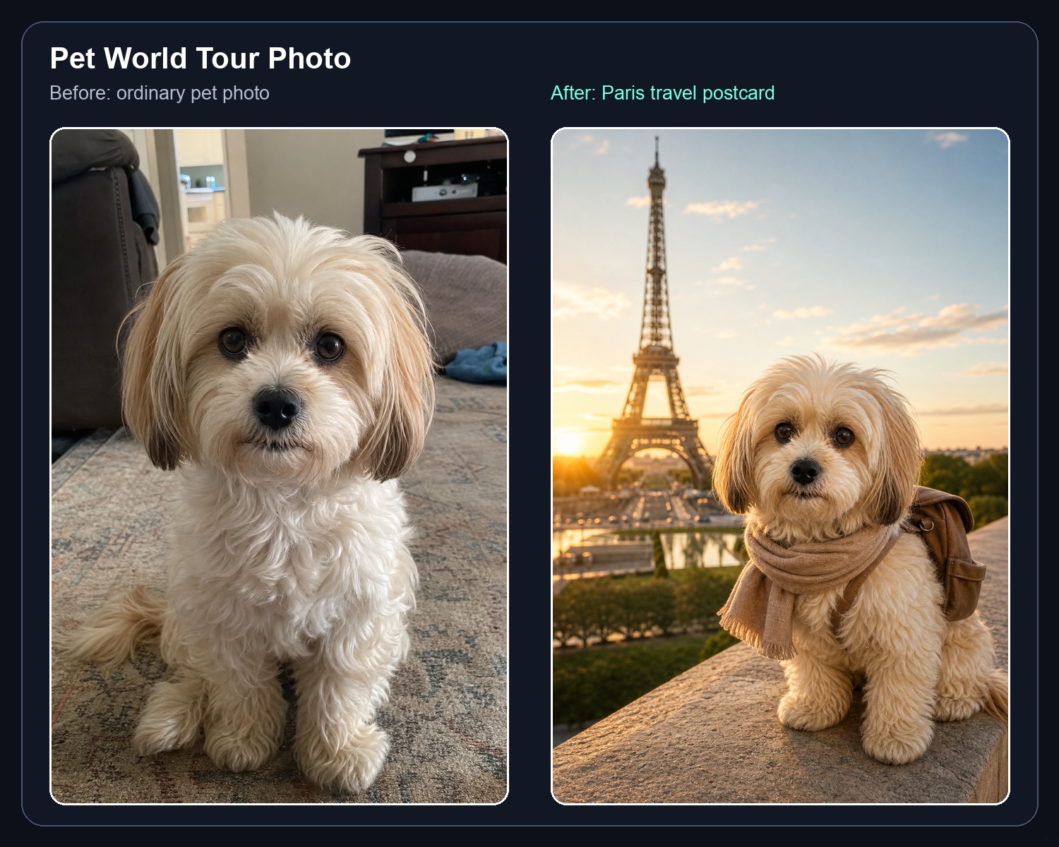 Before and after pet world tour travel postcard example example